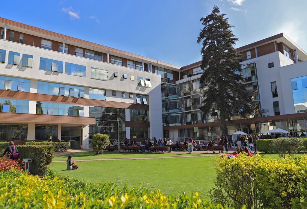 Campus courtyard with a lawn, trees, and university buildings
